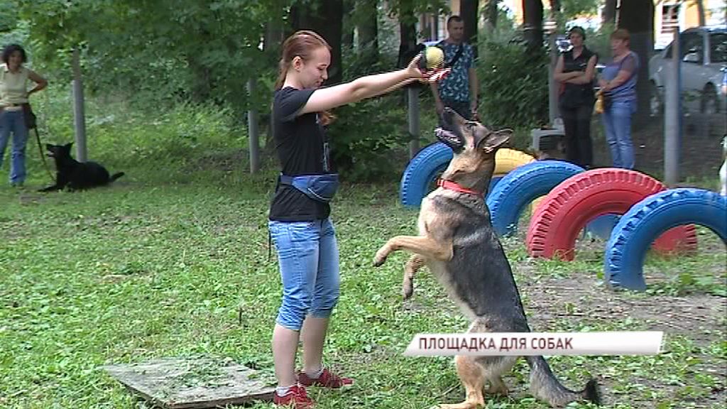 На Пятерке появилась новая площадка для выгула собак