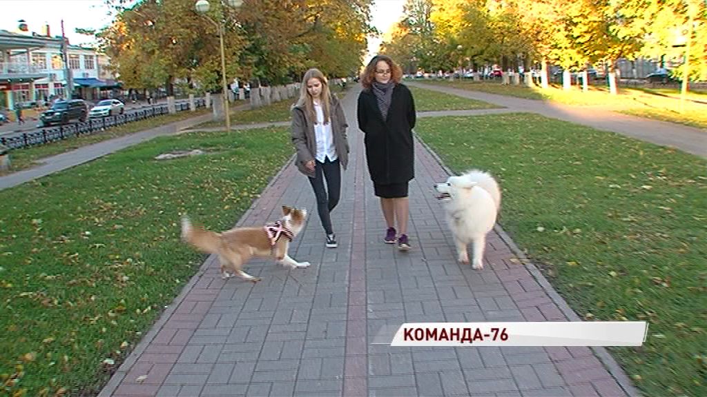 Работающая молодежь региона будет разрабатывать новые социальные проекты