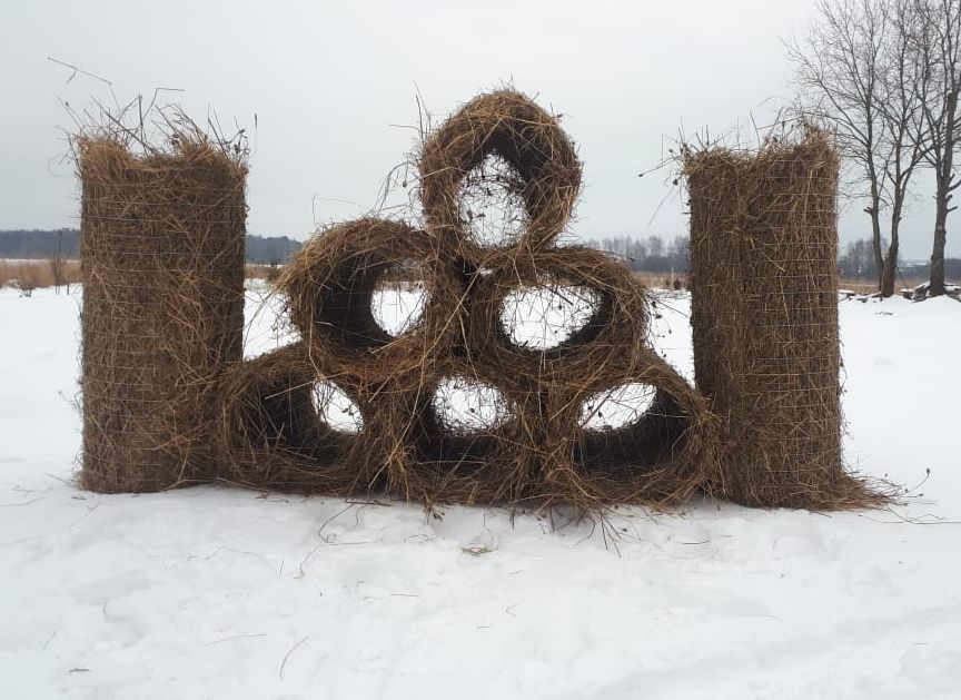 В Ярославской области обустроят 50 искусственных гнездовий для уток