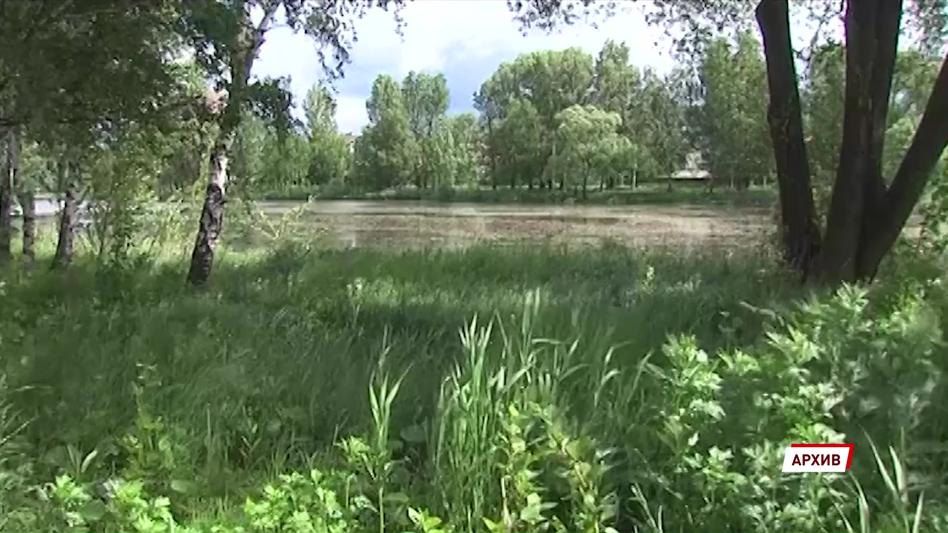 В Семибратове пожарный спас утопающего в нерабочее время