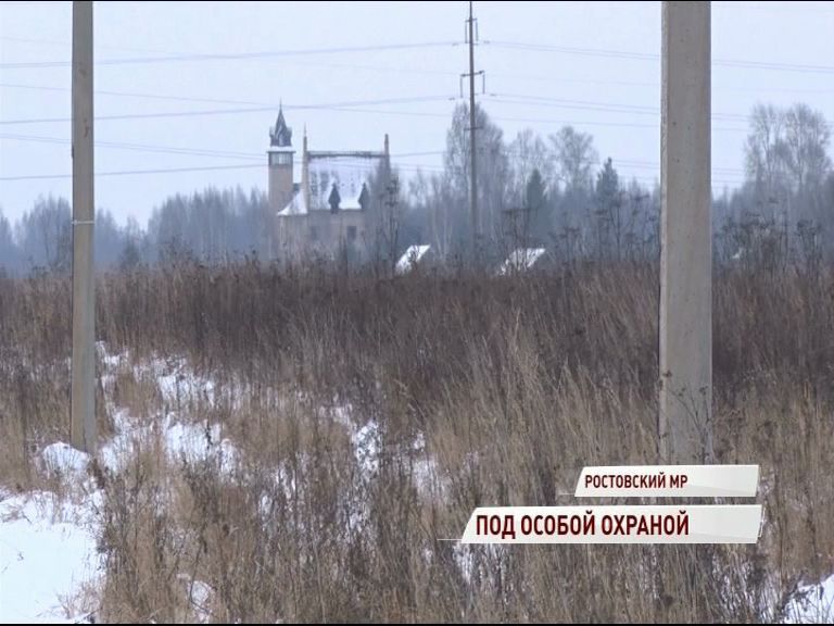 Региональные власти заинтересовала линия электропередачи вдоль деревни в Ростовском районе: в чем причина