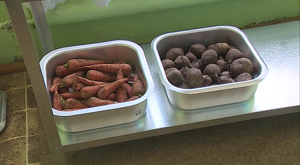 Дачники региона могут зарабатывать на излишках овощей со своего участка с помощью заготпунктов