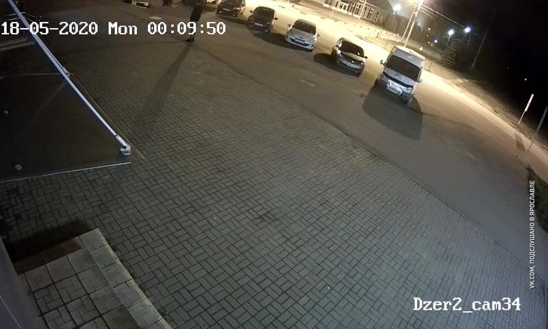 Возможно, он болен бешенством: медведя, напавшего на жителя Ярославля, ликвидировали