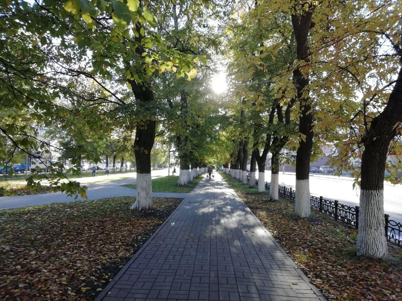 “Бабье лето” продолжается? Какая погода ждет ярославцев на следующей неделе