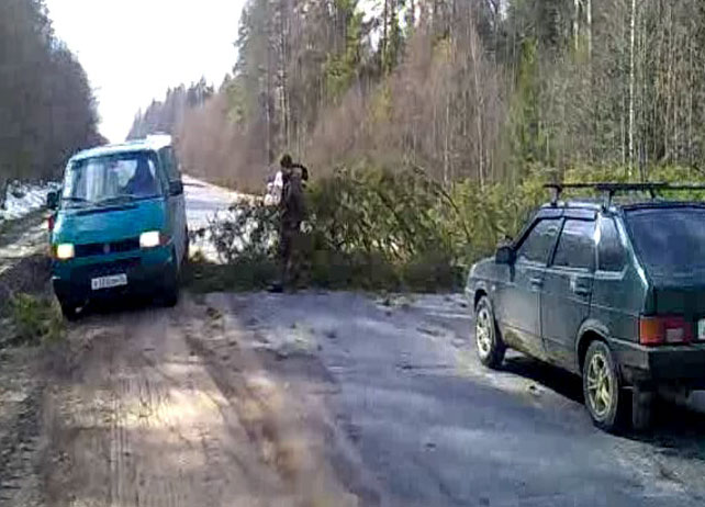 Ель упала на дорогу