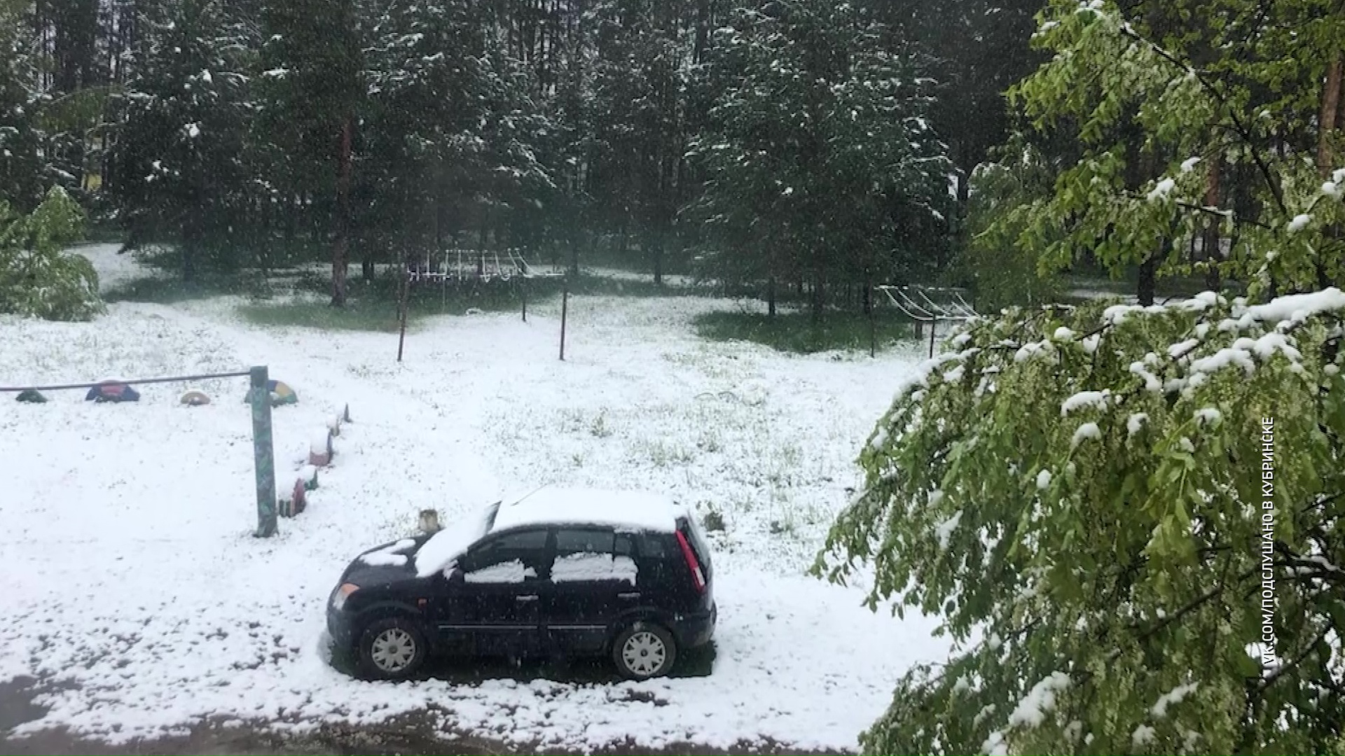 Утром в Ярославской области выпал снег