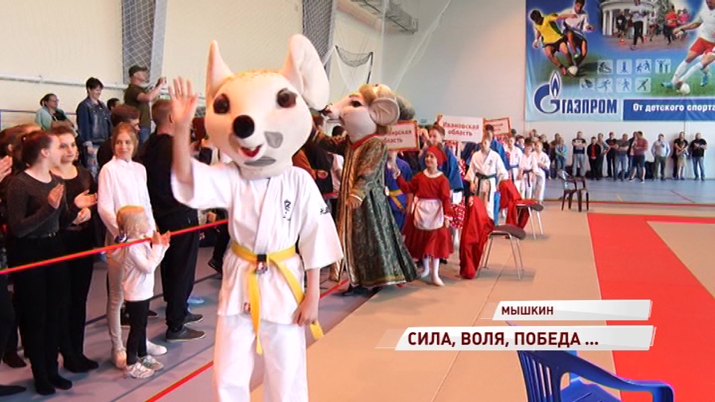В Мышкине прошел Всероссийский турнир по кудо на Кубок Губернатора Ярославской области
