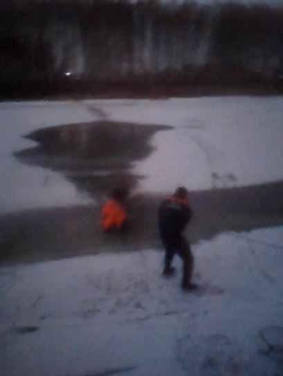 В поселке Творогово развернулась целая операция по спасению собаки из ледяной воды