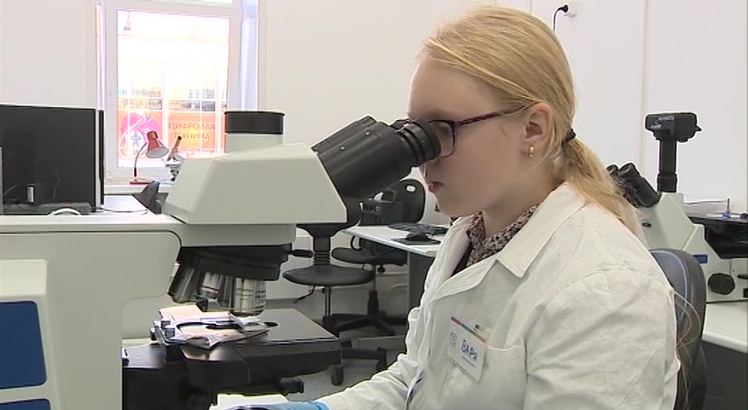 Ярославская область получит федеральную субсидию на реализацию нацпроекта «Образование»