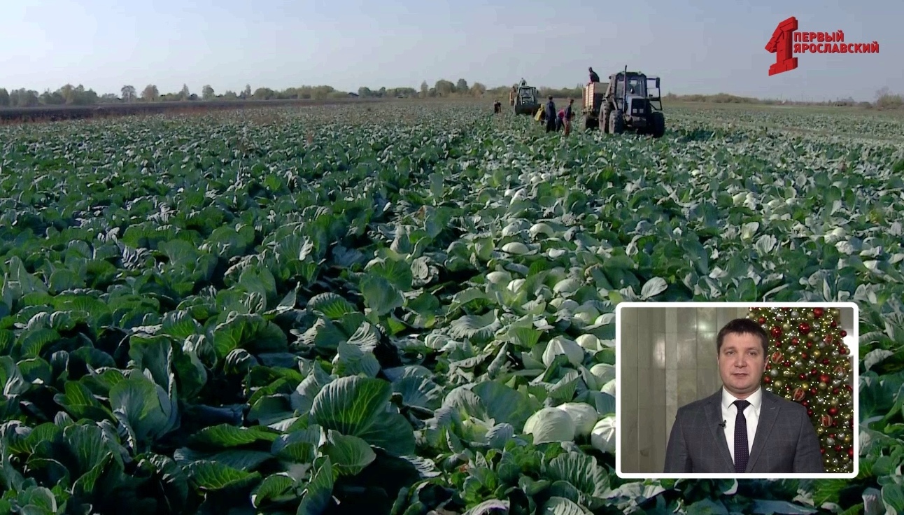 1 млрд рублей вложили в развитие агропромышленного комплекса Ярославской области в 2024 году