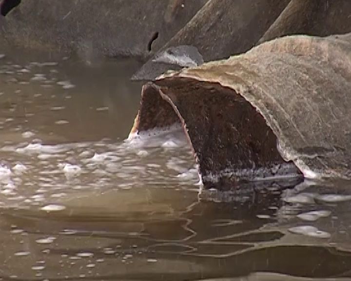 В Ярославле в Которосль сливали неочищенные стоки