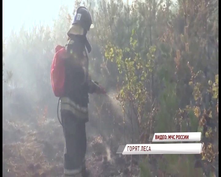 В Рыбинском районе введен высший класс пожароопасности