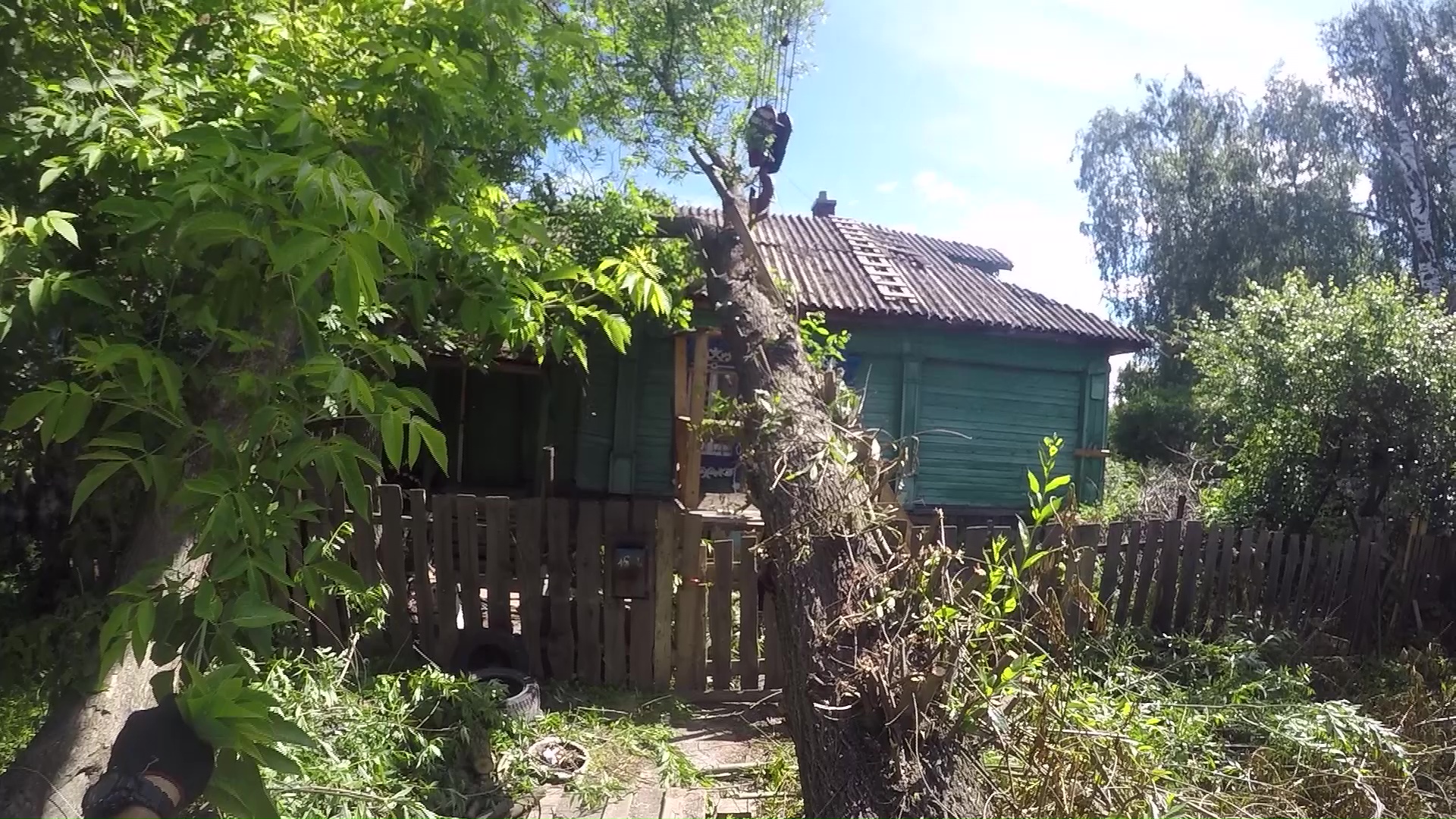 Сотрудники ЦГЗ продолжают разбираться с последствиями урагана