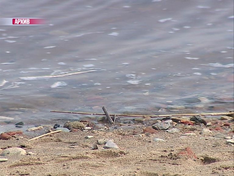 Волга и Которосль стали «общественной мойкой» машин