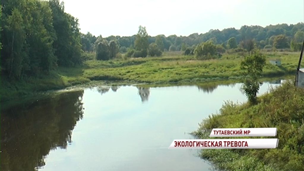 Эксперты проверили информацию о загрязнении Волги в районе поселка Константиновский