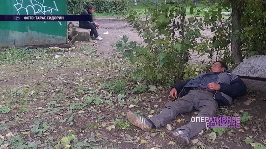 Тяга к знаниям? Заволжские бомжи и алкоголики облюбовали территорию рядом со школой