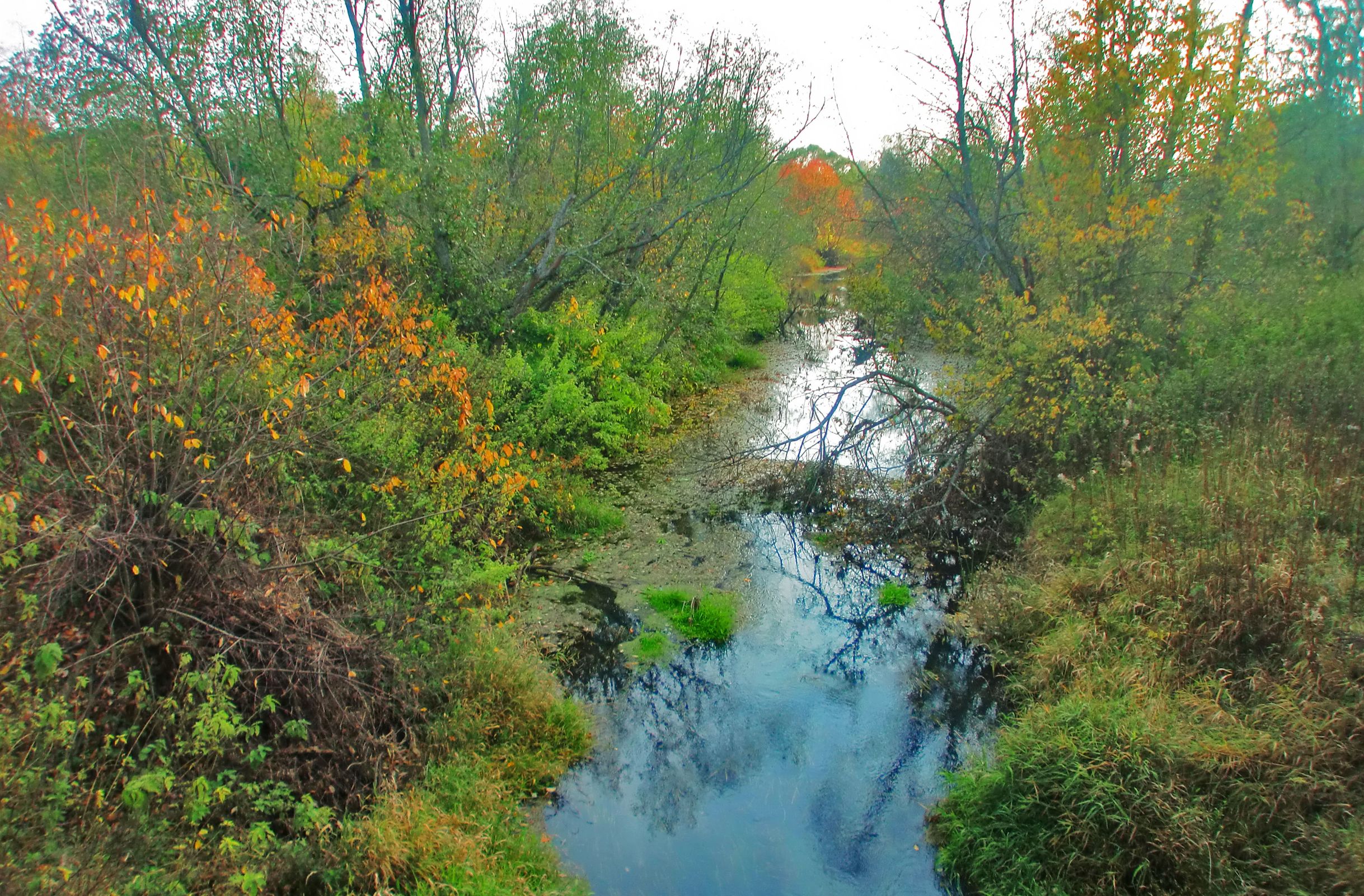 Забор воды из реки Устье в Ростовском районе восстановили