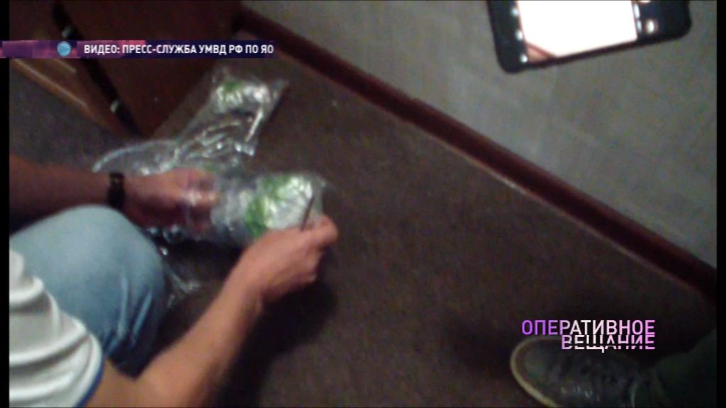 В Ярославле задержали мужчину с широким ассортиментом наркотиков