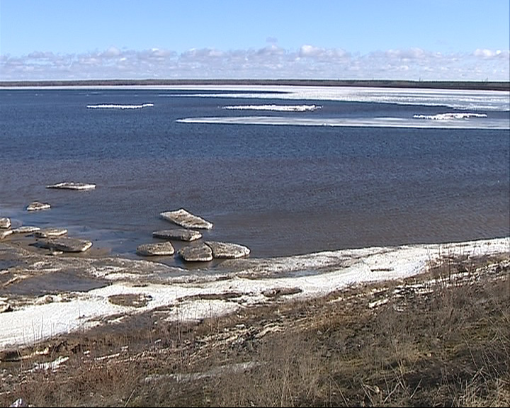 Жители против строительства ЦБК на Рыбинском водохранилище