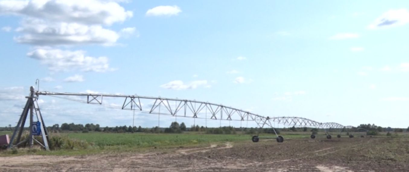 В Ярославской области собирать картофель начали раньше срока