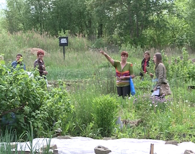 В борьбе за землю