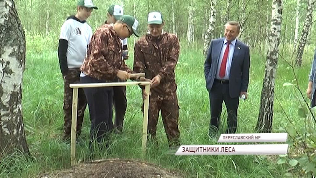 Природу Переславского края теперь охраняет «лесной десант» из школьников