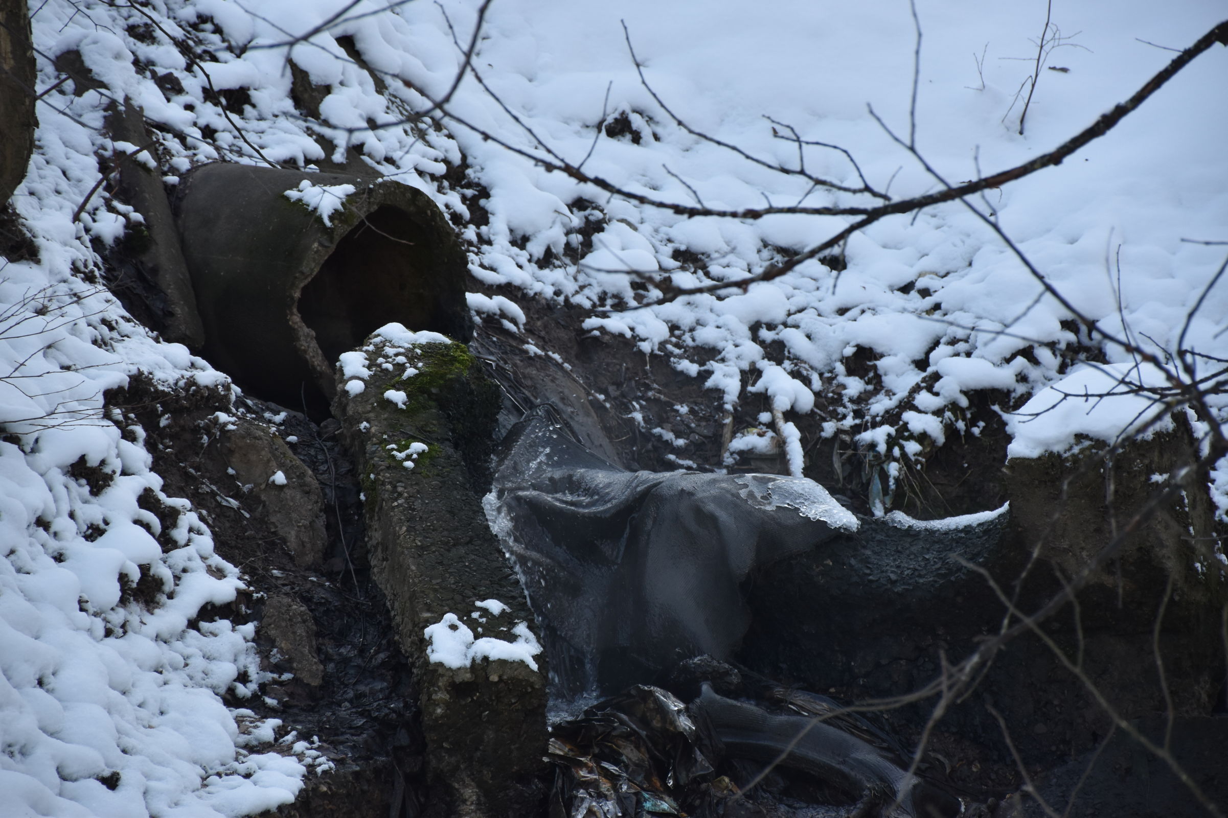 В Ярославской области предприятие заплатит 150 тысяч рублей за загрязнение реки