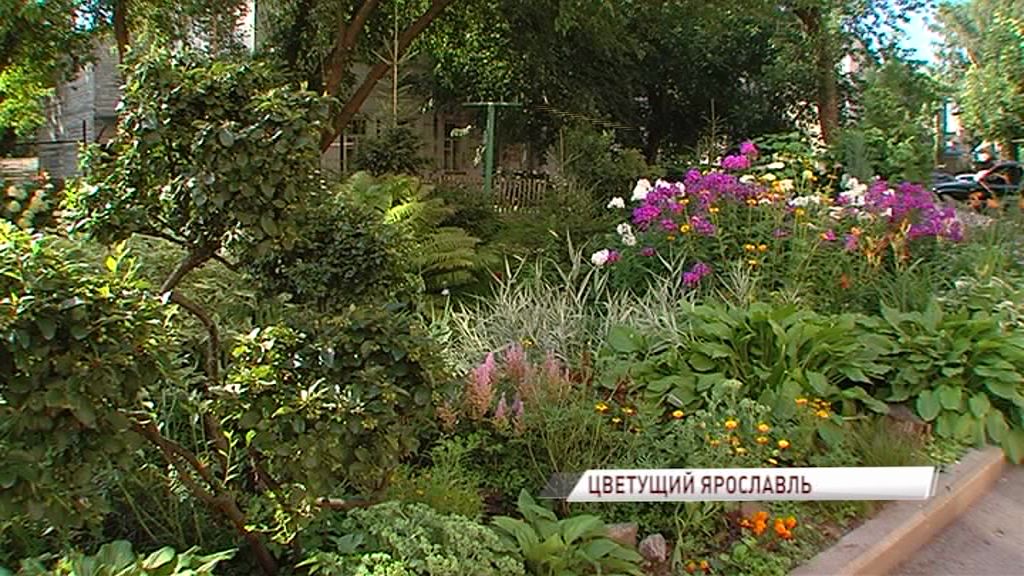 В Ярославле начали выбирать лучший цветник города