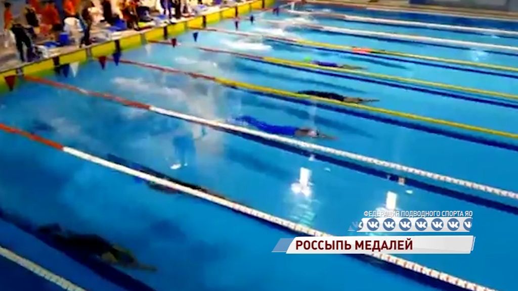 Ярославские пловцы в ластах заняли третье место на Кубке России