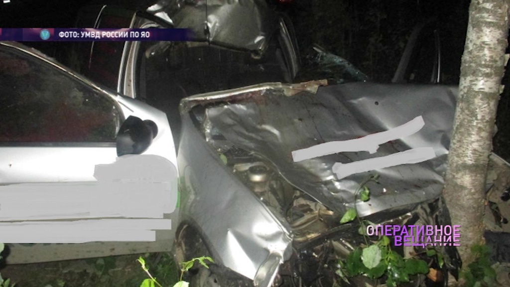 Смертельная встреча: в ДТП с лосем погиб мужчина