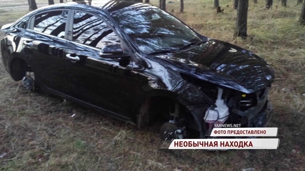 Жители области пошли в лес за грибами, а нашли угнанную иномарку