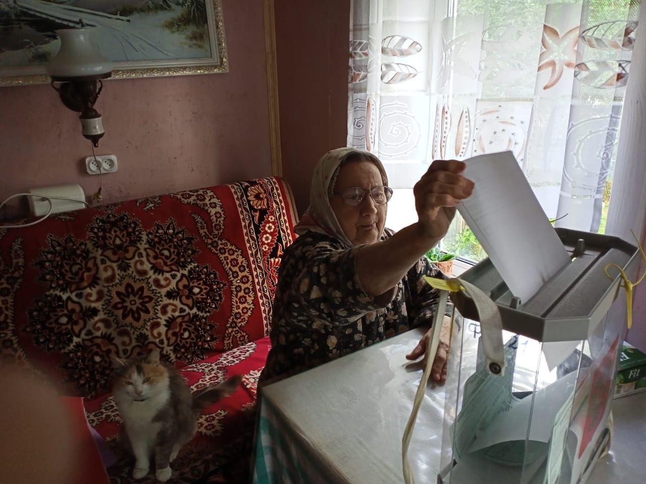 Голосование на дому: этой возможностью на выборах в Ярославской области уже воспользовались почти 10 000 человек