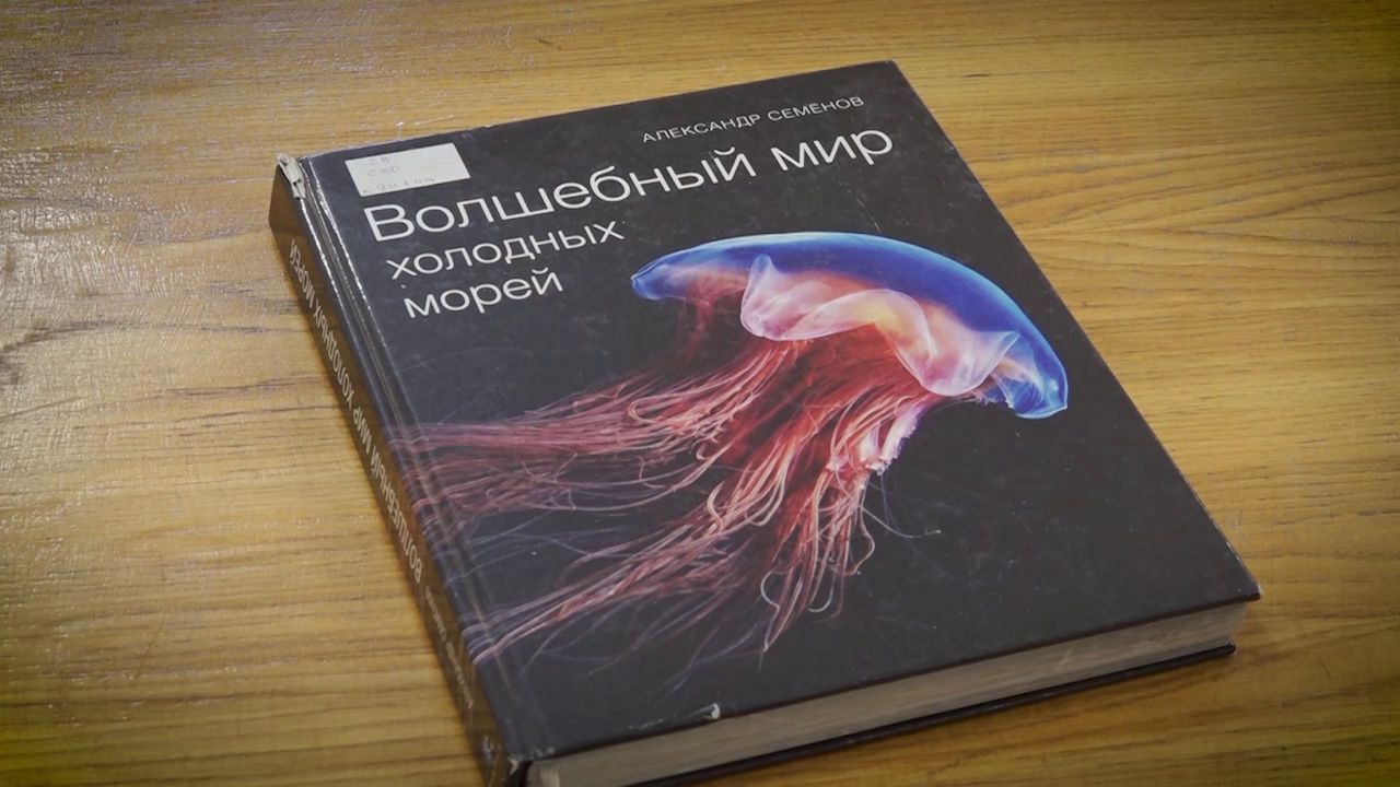 Утреннее шоу «Овсянка» от 19.01.21: улучшаем гибкость и читаем книги о Северном полюсе