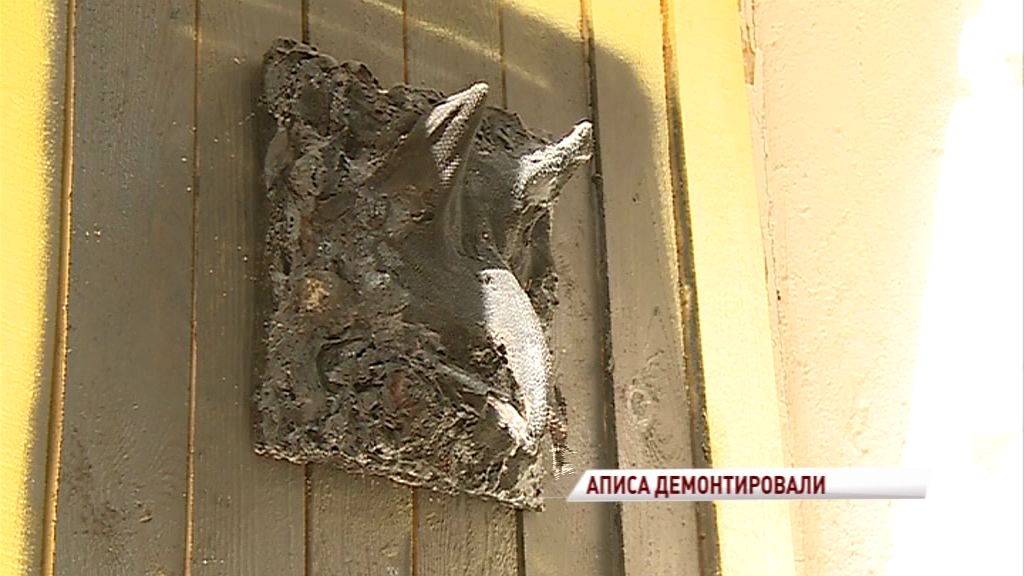 В доме на Трефолева демонтировали Аписа