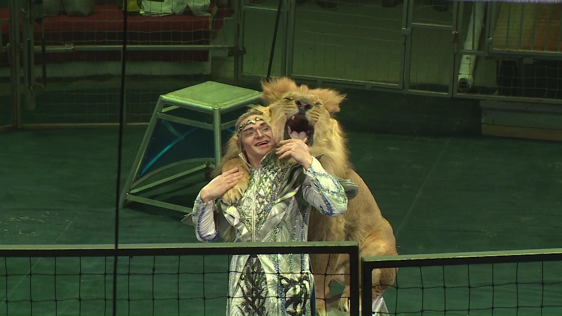 В Ярославле стартовал новый цирковой сезон: какой программой удивили зрителей