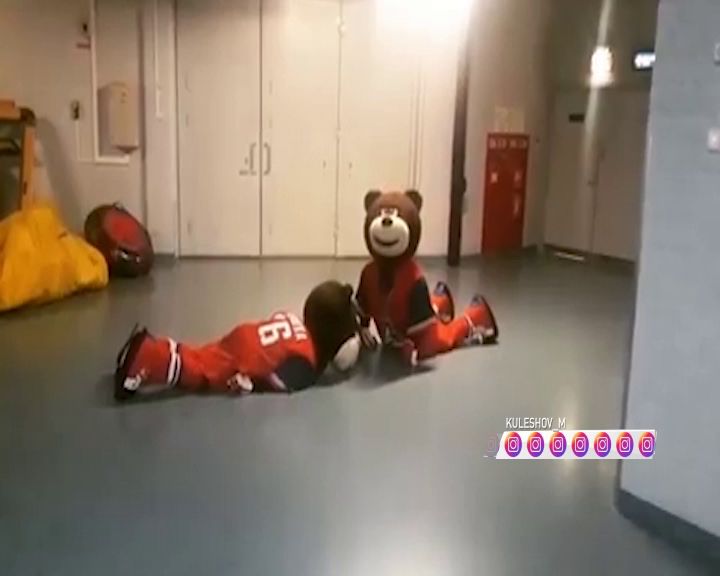 На точке выбрасывания вместо хоккеистов играли медведи-талисманы
