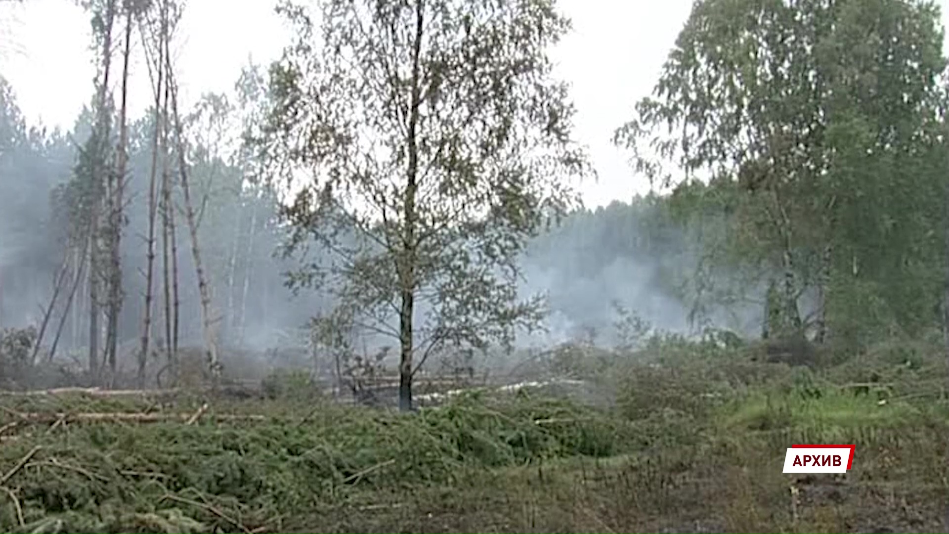 Из-за аномально теплой зимы в регионе готовятся к сложному пожароопасному сезону