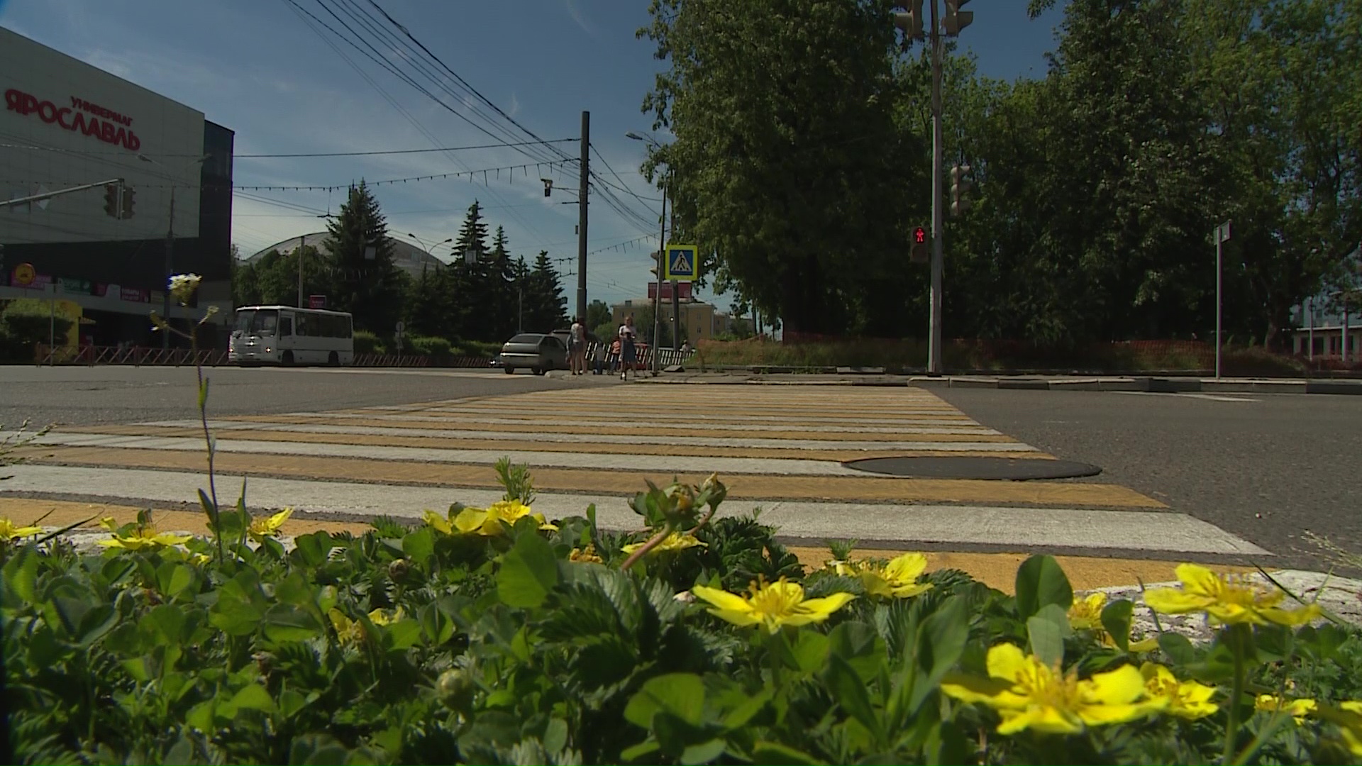 В мэрии рассказали, почему пешеходный переход в центре Ярославля заканчивается газоном