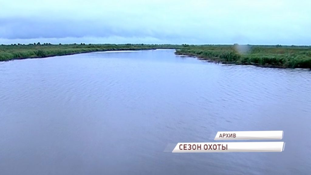 Разрешения на охоту в Ярославской области получили около 15 тысяч человек