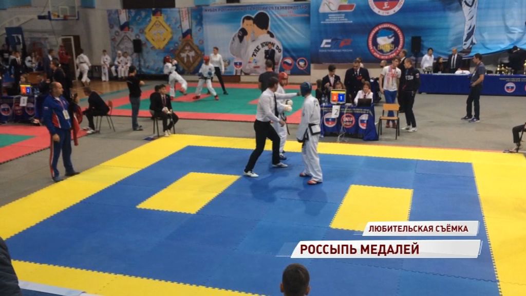 Ярославские тхэквондисты привезли 46 медалей с Кубка России