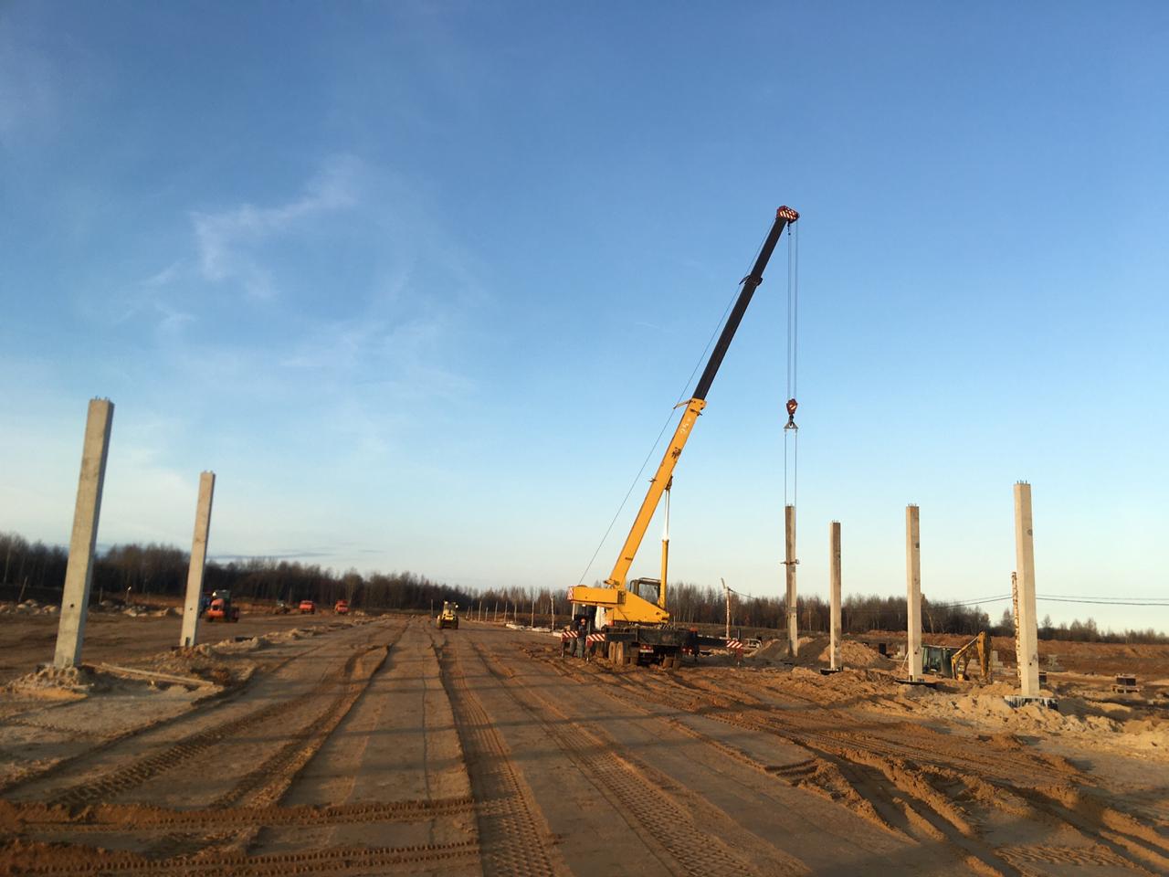 Объем производимой сельхозпродукции за год в Ярославской области вырос на три процента