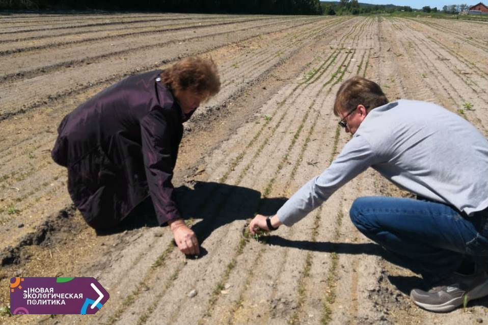 Роман Колесов: «В Ярославской области удалось возродить работу лесных питомников»