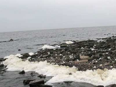 Экспедиция к Мологе