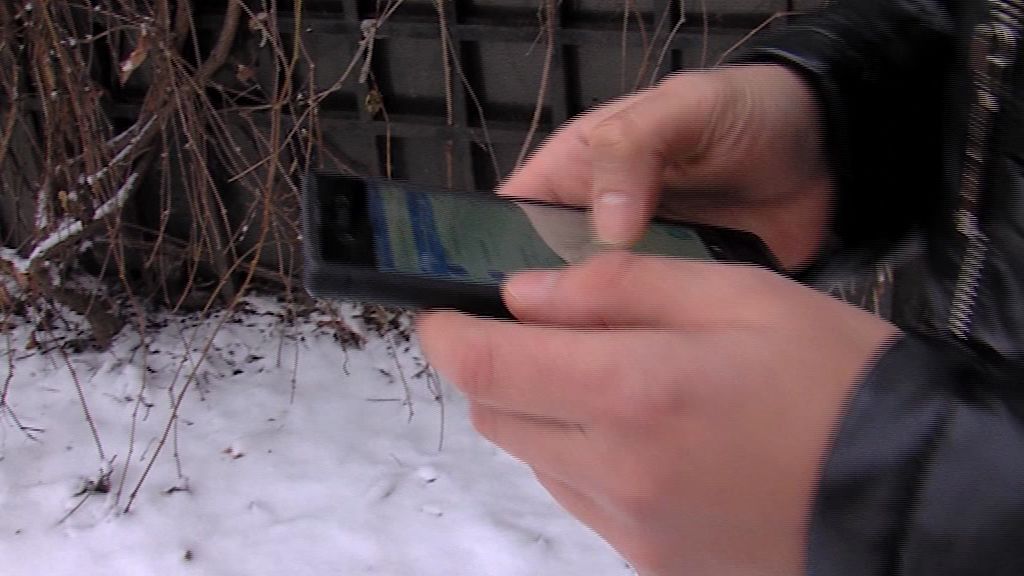 Ярославца осудили за размещение порнографии в социальных сетях