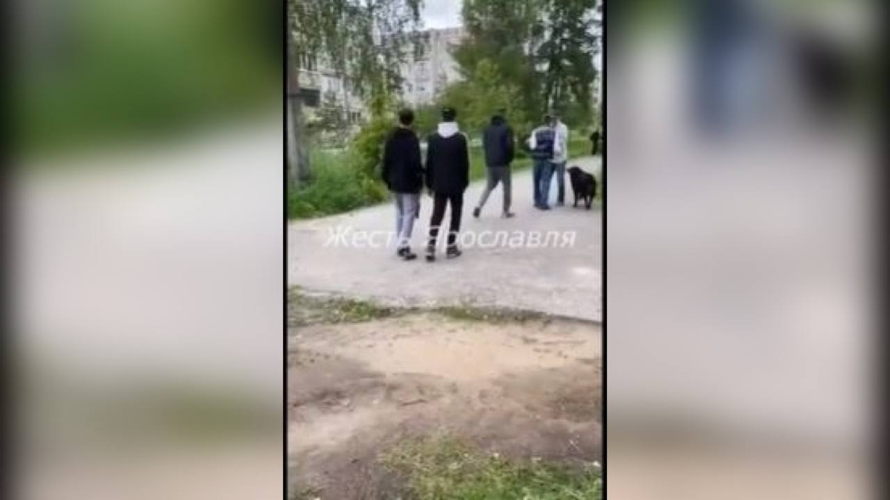 В Ярославле двое мужчин напали на несовершеннолетнего