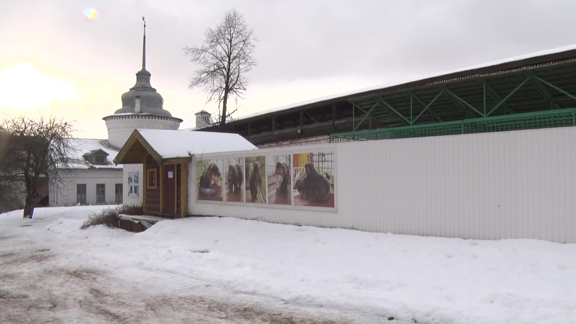 Зима, где снег? Синоптики рассказали, что творится с погодой в Ярославской области