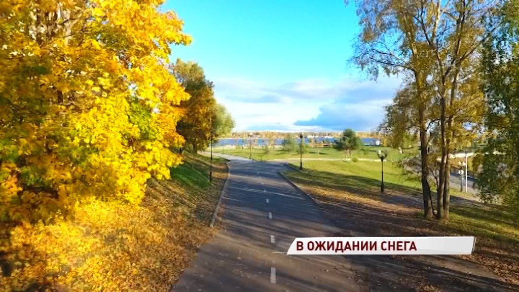 «Бабье лето» заканчивается: когда ждать первого снега