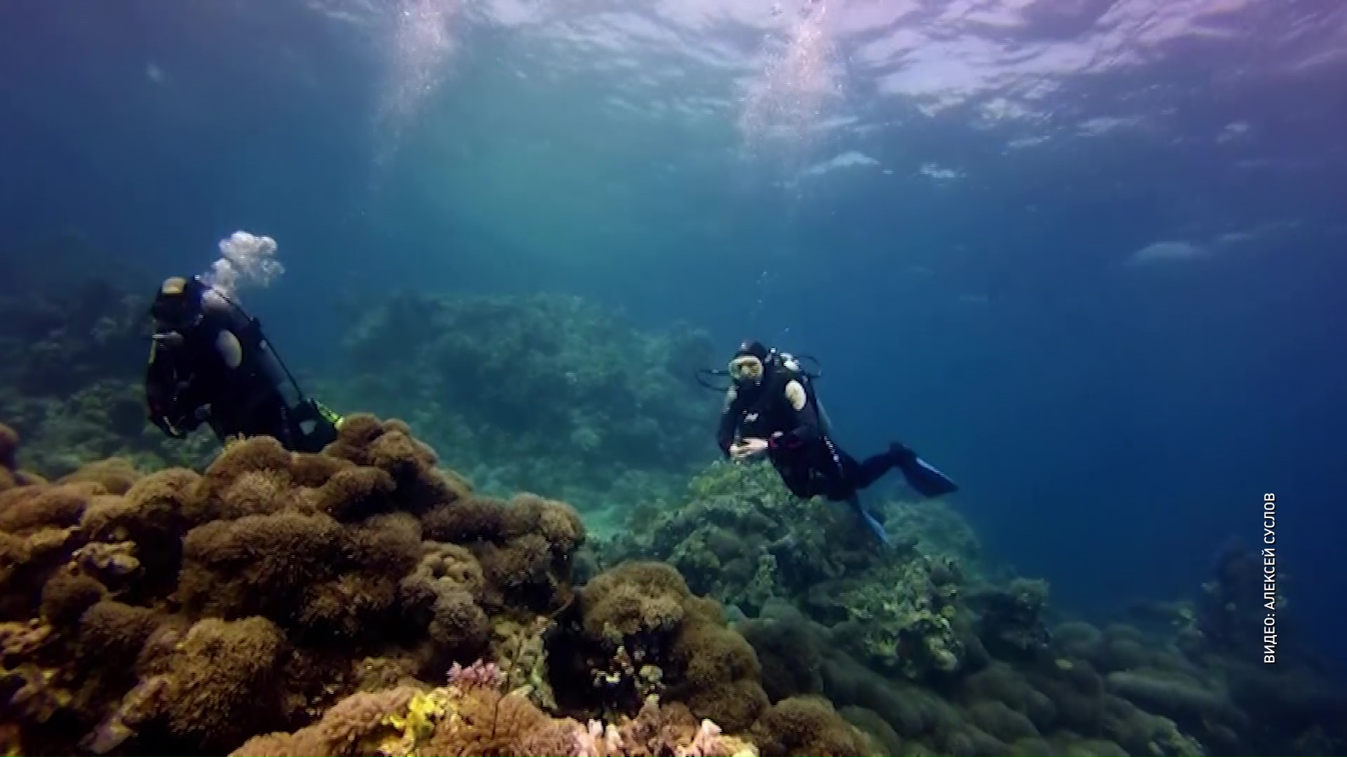 Риск за каждым снимком: в Угличе открылась выставка подводных фотографий