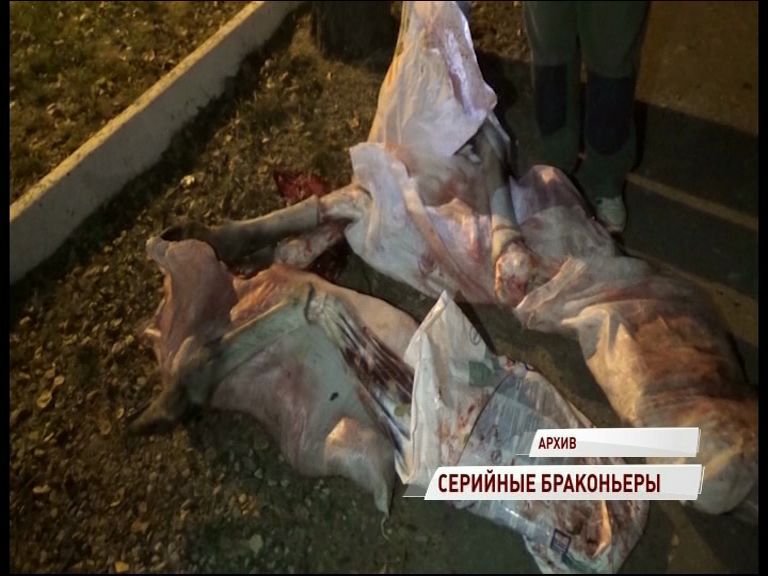 Полицейские задержали серийных браконьеров