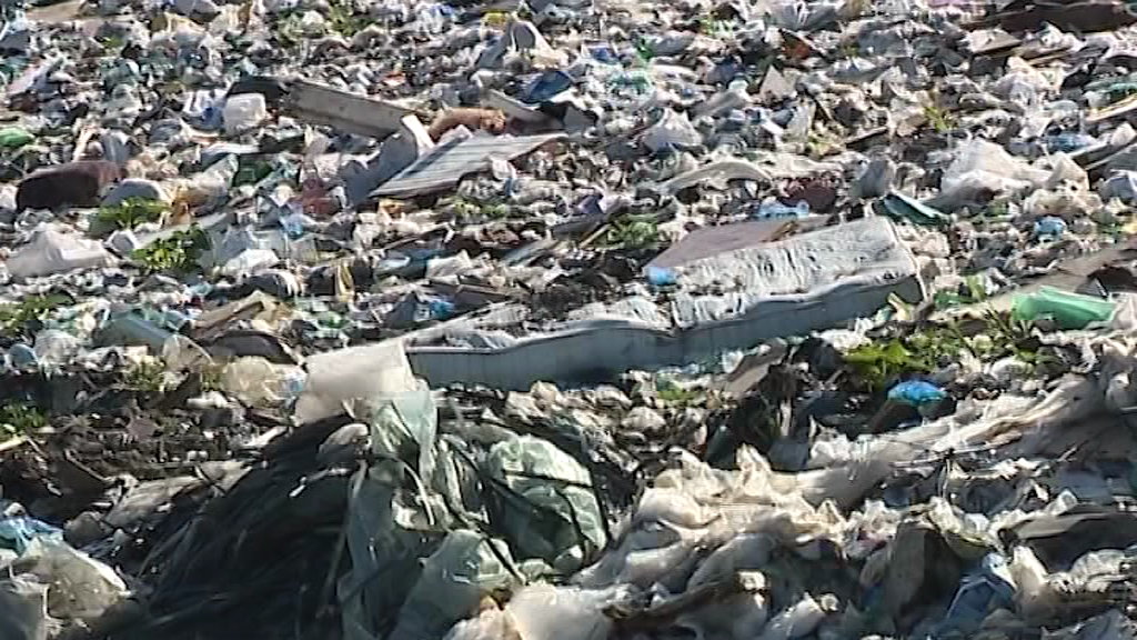 Эксперты подчеркнули важность строительства мусоросортировочных станций в Ярославской области